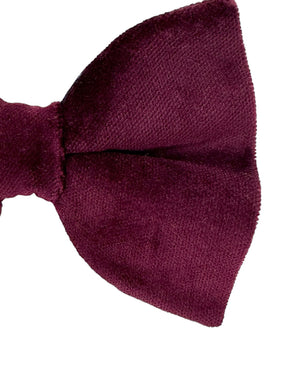 Le Noeud Papillon Bow Tie Maroon
