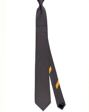 Salvatore Ferragamo Tie 