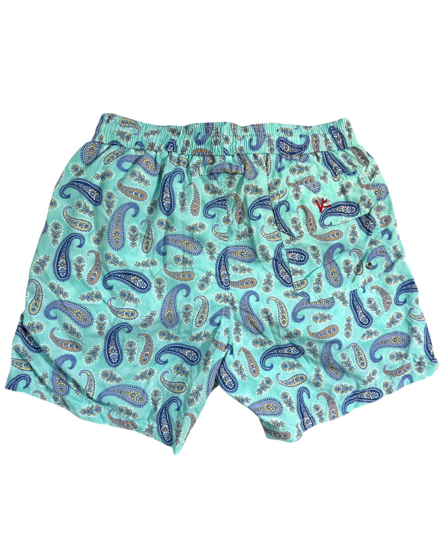Isaia Swim Shorts Sky Blue Paisley